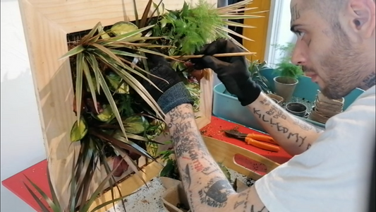 Comment planter votre tableau monJardin-suspendu "prêt à planter" ?