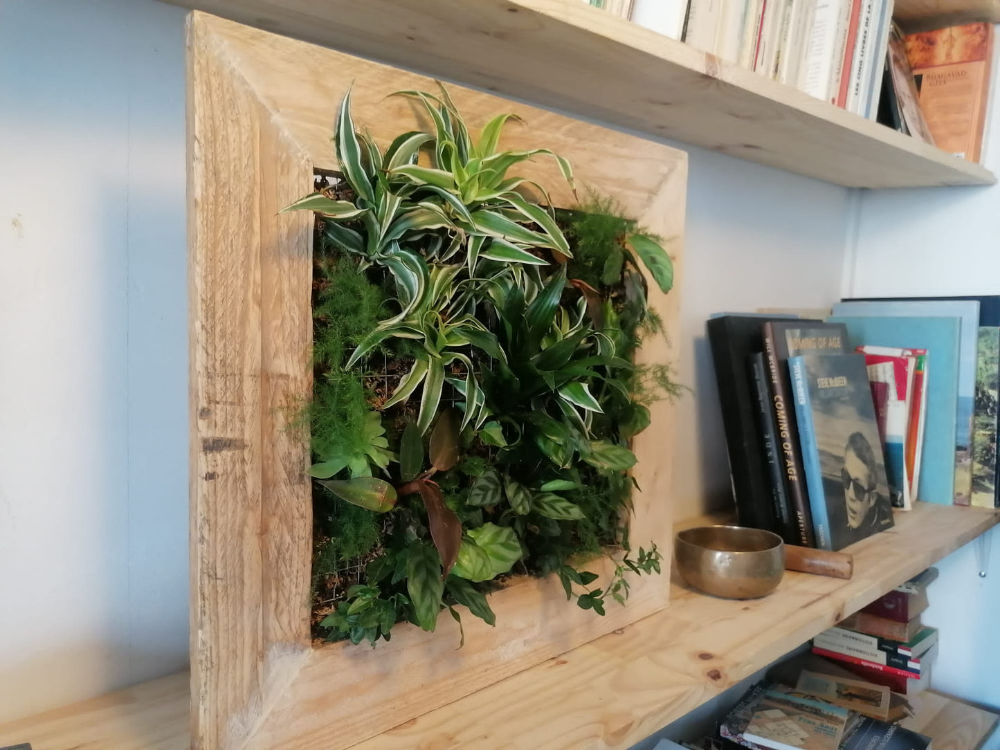 Mon jardin suspendu taille MEDIUM -Prêt à planter