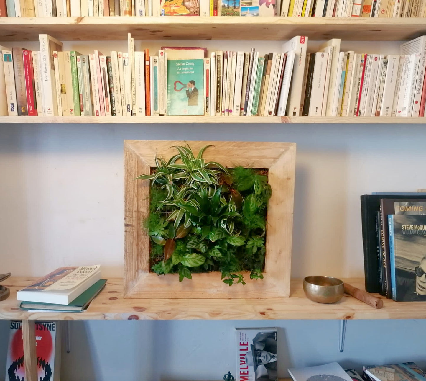 Mon jardin suspendu taille MEDIUM -Prêt à planter