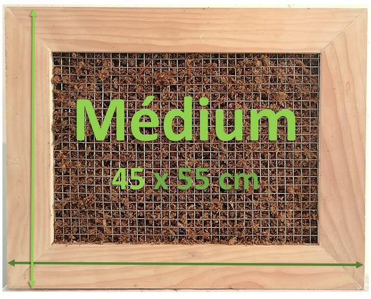 Mon jardin suspendu taille MEDIUM -Prêt à planter